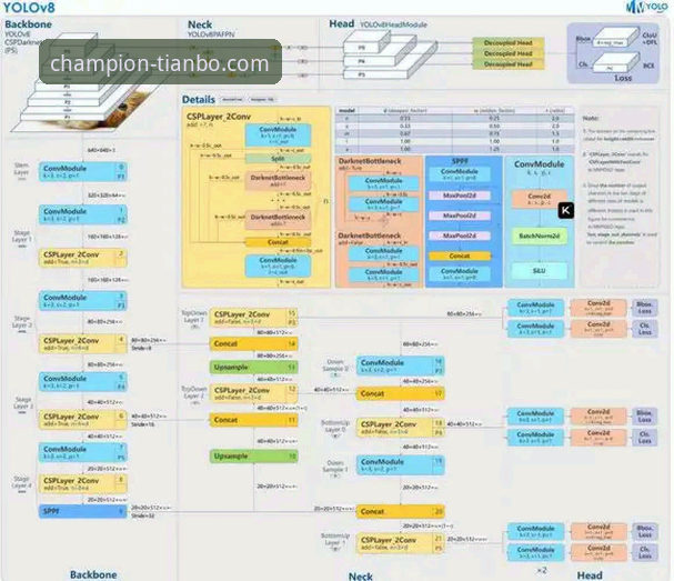 天博体育平台深度评测：从老版本下载到v2.1.3新体验全解析